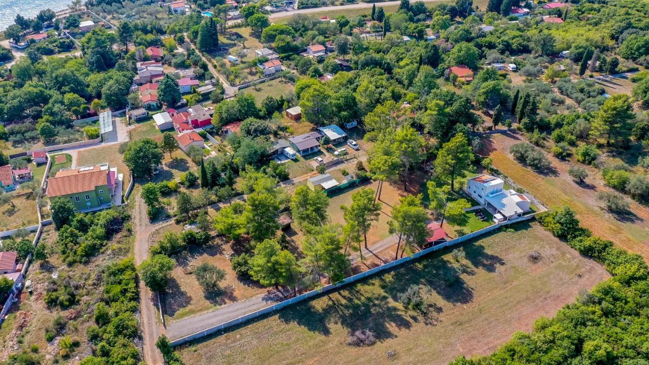 Shimunelka Peroj Exteriér fotografie